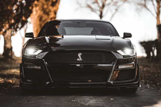 Luckland Kasino Android/iOS Sovellus